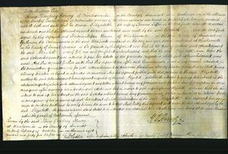 Court of Common Pleas - Elizabeth Saffin-Original Ancestry