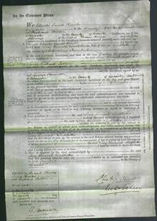 Court of Common Pleas - Lucy Hannah Leadbetter-Original Ancestry