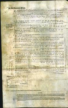 Court of Common Pleas - Emma Francis Wooldridge-Original Ancestry