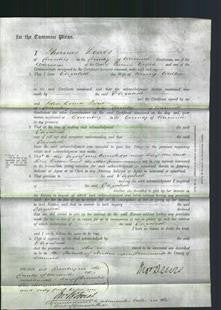 Court of Common Pleas - Elizabeth Walter-Original Ancestry