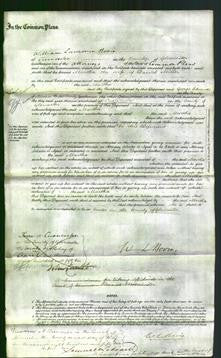 Court of Common Pleas - Martha Miller-Original Ancestry