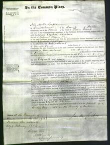 Court of Common Pleas - Elizabeth Whitehead Pace-Original Ancestry