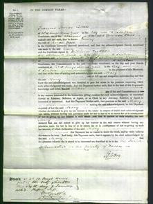 Court of Common Pleas - Mary Frost-Original Ancestry