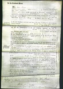 Court of Common Pleas - Sarah Ann Mary Gregory-Original Ancestry