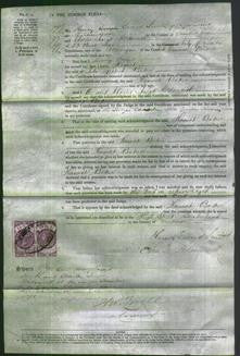 Court of Common Pleas - Hannah Baker-Original Ancestry