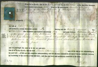 Deed by Married Women - Phoebe Cheney-Original Ancestry