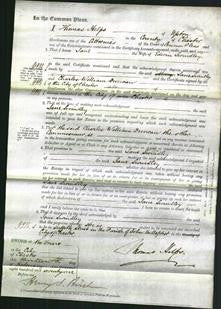 Court of Common Pleas - Jane Swindley-Original Ancestry