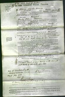 Court of Common Pleas - Margaret Cummins-Original Ancestry