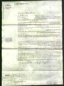 Court of Common Pleas - Anne Milnes-Original Ancestry