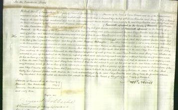 Court of Common Pleas - Eliza Breedon and Mary Owen-Original Ancestry