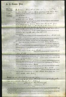 Court of Common Pleas - Ann Dodd-Original Ancestry