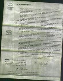 Court of Common Pleas - Fanny Fogden-Original Ancestry