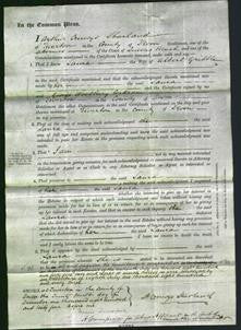 Court of Common Pleas - Laura Gribble-Original Ancestry