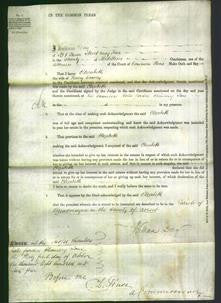 Court of Common Pleas - Elizabeth Cowley-Original Ancestry