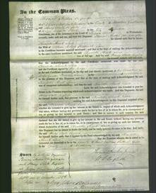 Court of Common Pleas - Charlotte Shank Lane-Original Ancestry