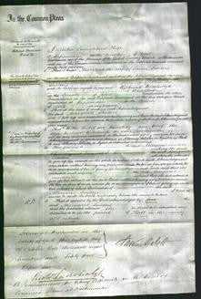 Court of Common Pleas - Margaret Sanders-Original Ancestry