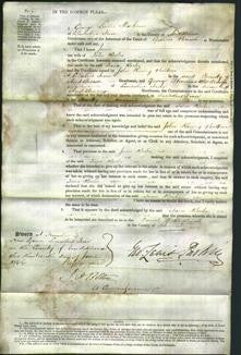Court of Common Pleas - Jane Roche-Original Ancestry