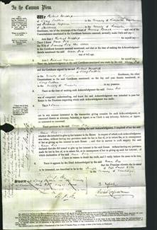 Court of Common Pleas - Ann Fox-Original Ancestry