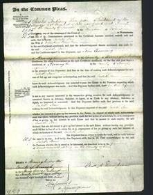 Copy of Court of Common Pleas - Judith Ann Sear-Original Ancestry