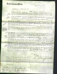 Court of Common Pleas - Mary Ann Henning-Original Ancestry