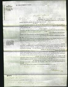 Court of Common Pleas - Ann Chapman-Original Ancestry