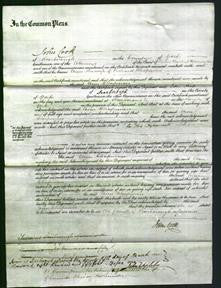 Court of Common Pleas - Ann Chapman-Original Ancestry