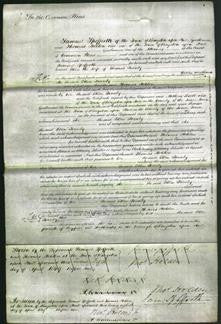 Court of Common Pleas - Ellen Teanly-Original Ancestry