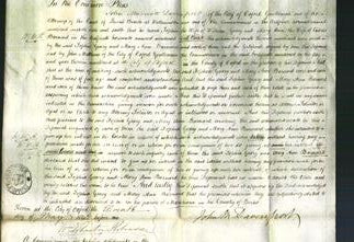 Court of Common Pleas - Sophia Geary and Mary Ann Barnard-Original Ancestry