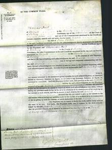 Court of Common Pleas - Maria Trotter-Original Ancestry