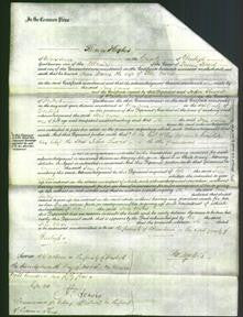 Court of Common Pleas - Jane Davies-Original Ancestry