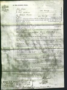 Court of Common Pleas - Sarah Burgess-Original Ancestry