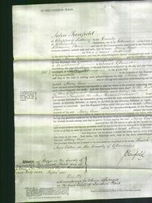 Court of Common Pleas - Mary Ann Holbrook-Original Ancestry