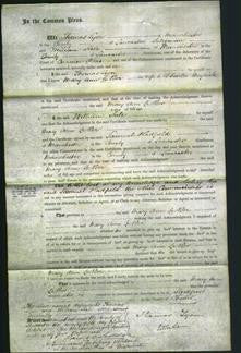 Court of Common Pleas - Mary Ann Le Ber Meyrick-Original Ancestry