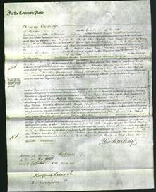 Court of Common Pleas - Ann Hassall, Ann Oram, Martha Spencer and Dinah Christian-Original Ancestry