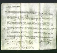 Court of Common Pleas - Harriet Smith-Original Ancestry