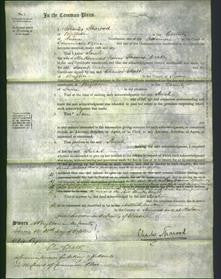 Court of Common Pleas - Sarah Drake-Original Ancestry