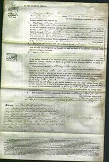 Court of Common Pleas - Mary Stanford-Original Ancestry