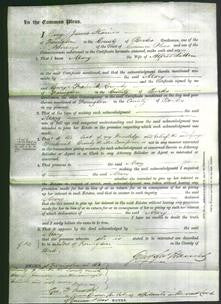 Court of Common Pleas - Mary Litten-Original Ancestry