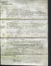 Court of Common Pleas - Ann Harriet Challoner and Eliza Scaife-Original Ancestry