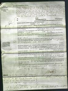 Court of Common Pleas - Maria Morgan-Original Ancestry