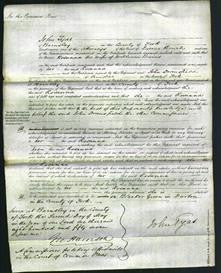 Court of Common Pleas - Rosanna Bevins-Original Ancestry