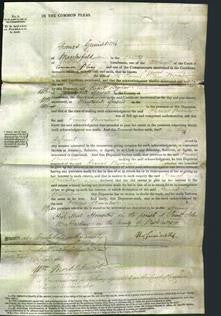 Court of Common Pleas - Frances Brownlow-Original Ancestry