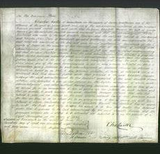 Court of Common Pleas - Charlotte Hearson-Original Ancestry