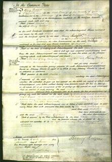 Court of Common Pleas - Louisa Elshaw-Original Ancestry