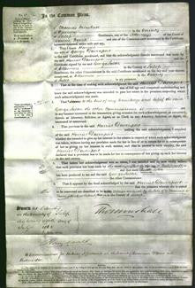 Court of Common Pleas - Harriet Davenport-Original Ancestry