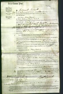 Court of Common Pleas - Mary Patrick-Original Ancestry