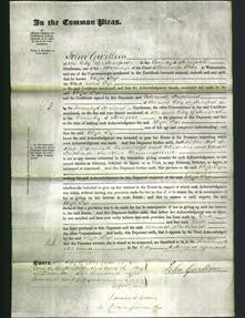 Court of Common Pleas - Eliza Pye-Original Ancestry