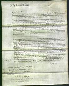 Court of Common Pleas - Mary Ann Harrison-Original Ancestry