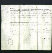 Appointment of Special Commissioners - John Cuming, John Stanley, John McKiristry, Charles Anthony Thompson and William Somerville Mitchell-Original Ancestry