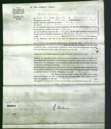 Court of Common Pleas - Anne Miles-Original Ancestry